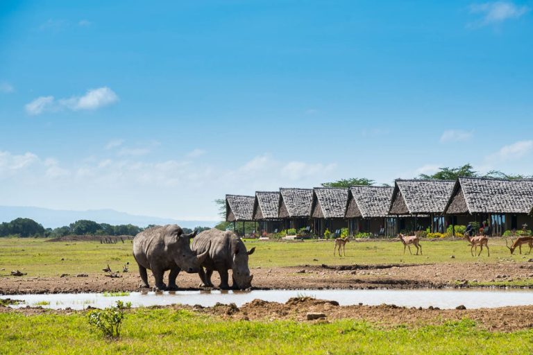 safari Kenia 9 días precio