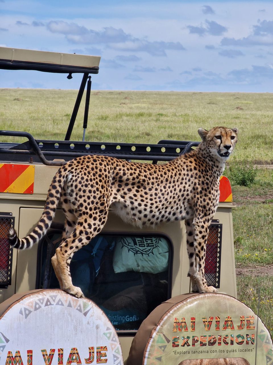 agencia local de safaris en Tanzania