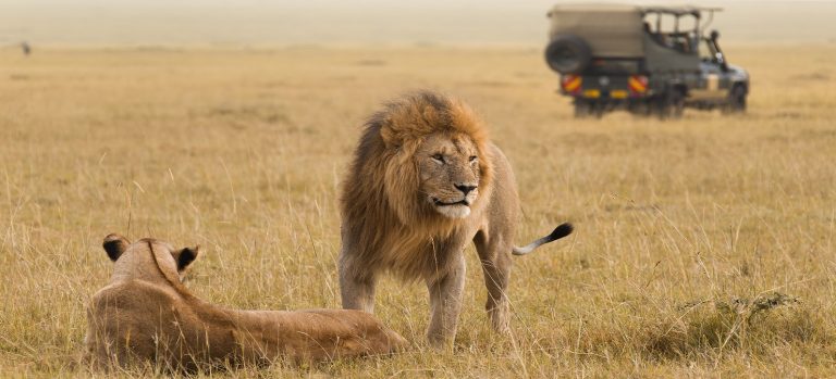 Safari de 5 días en Masái Mara