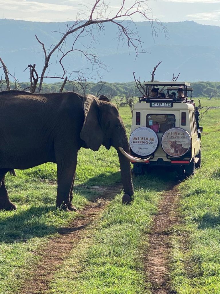 Safari a tu medida Tanzania