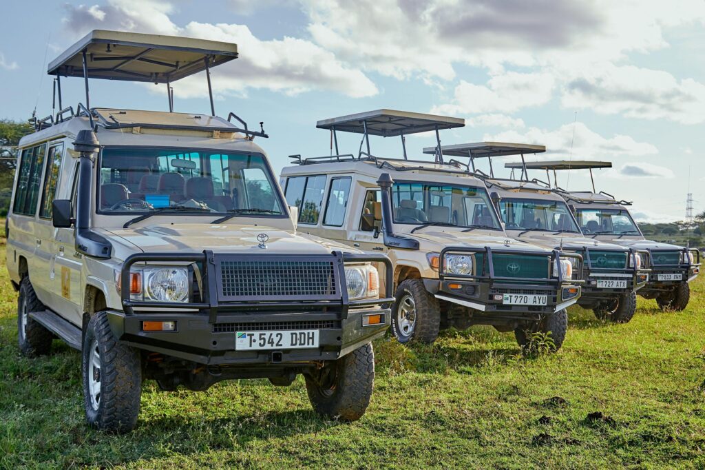 safari Uganda desde mexico