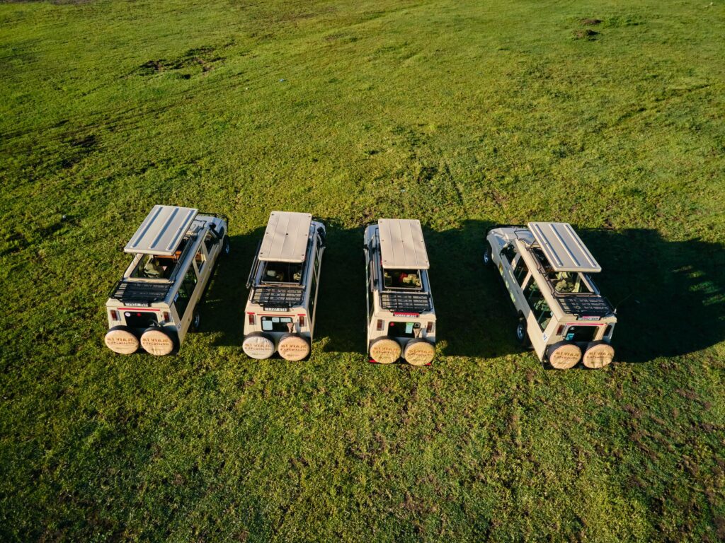 Safari Uganda gorilas precio