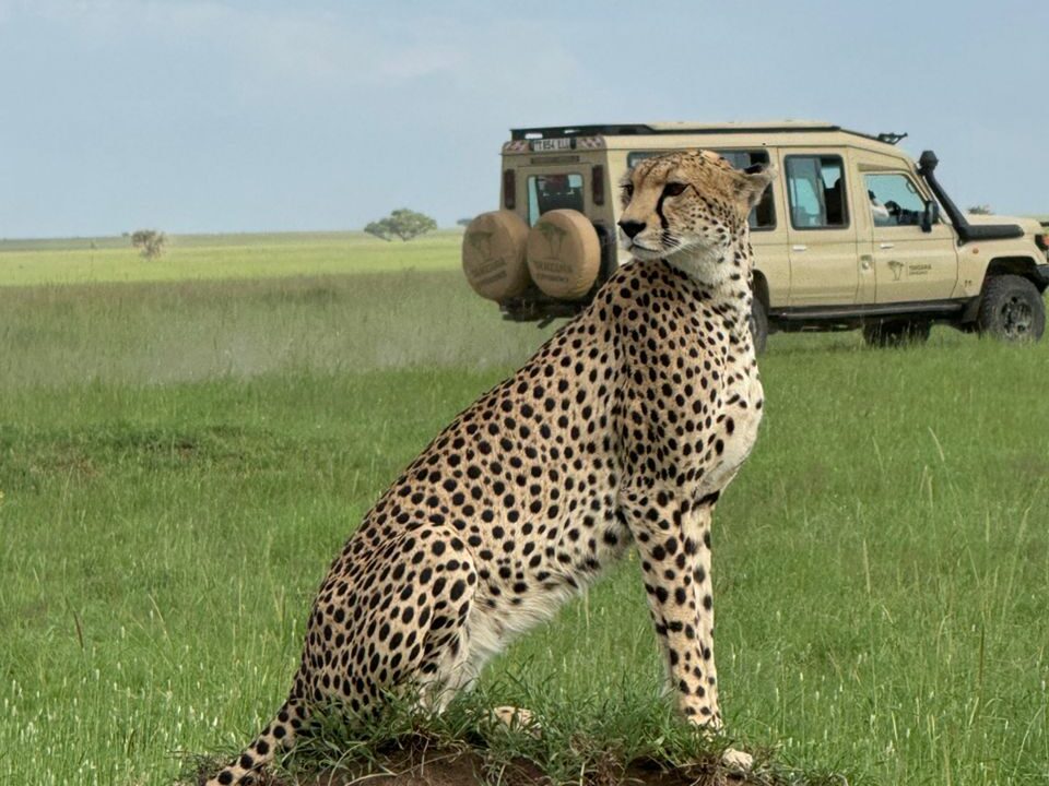 safari a medida Tanzania